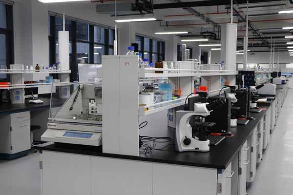 醫(yī)學院校實驗室的建設(shè)和管理